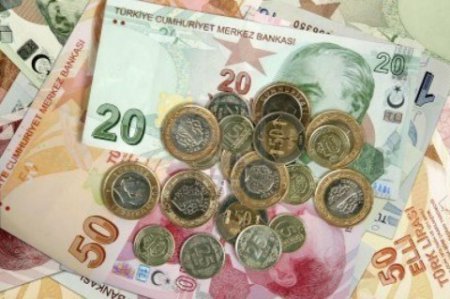 Монетаризм по-турецки или какой урок может получить гривна