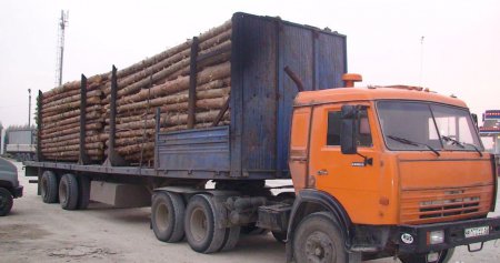 Руслан Сольвар причетний до вирубки лісу на Закарпатті, - Микола Кокіш