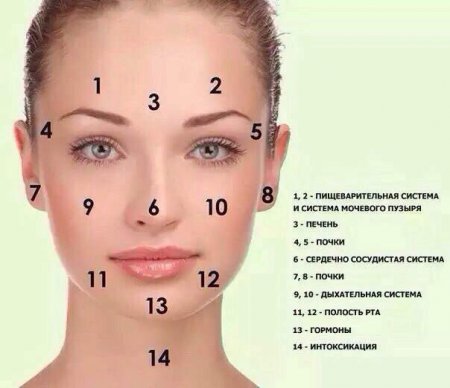 О каких болезнях расскажут высыпания на разных зонах лица