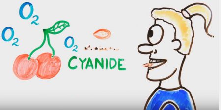 Найнеймовірніші передозування. Відео