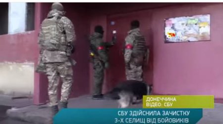 СБУ звільнила три селища  від бойовиків. ВІДЕО
