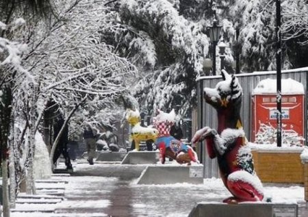 Стихийный снегопад в Мексике. Видео