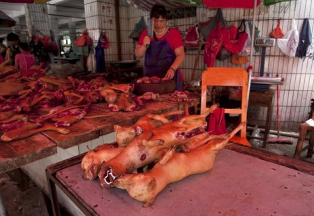 В российском Иркутске начали продавать собачье мясо