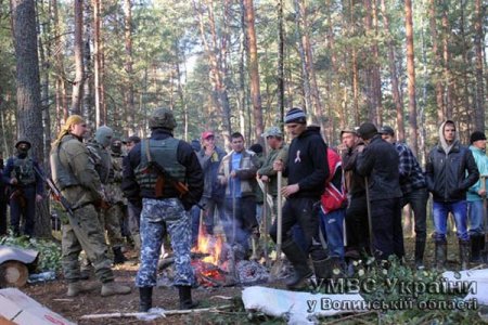 "Янтарная лихорадка" уничтожает заповедные украинские земли (ТВ, видео)