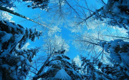 13 января в Украине ожидается незначительное похолодание