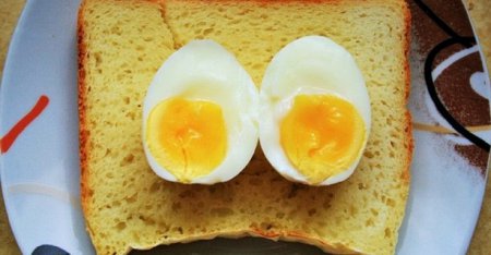Одно куриное яйцо в день сотворит чудо с Вашим здоровьем