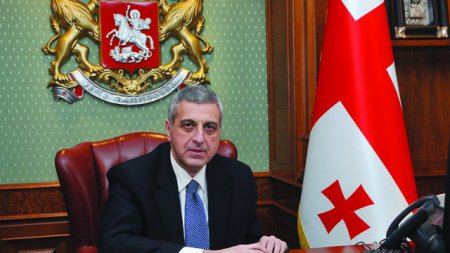 Все грузины, занимающие госпосты в Украине, будут лишены гражданства Грузии