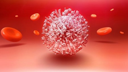 Эксперты: Три вида гриппа, которые опаснее чем "свиной"