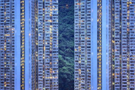Заходящее солнце окрашивает высотки Гонконга в нежно-голубой цвет. ФОТО