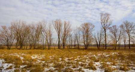 27 января в Украине начинается длительный теплый период