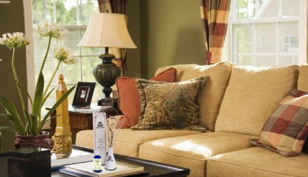 Як зробити натуральний освіжувач повітря для дому?