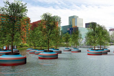 В Нидерландах работают над созданием "плавающего" леса. ФОТО