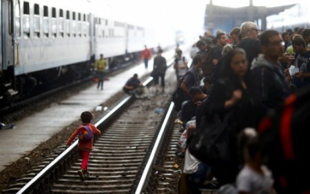 Правительство Германии  ужесточит правила предоставления убежища мигрантам