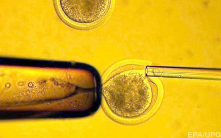 Генная модификация человеческих эмбрионов в борьбе с бесплодием