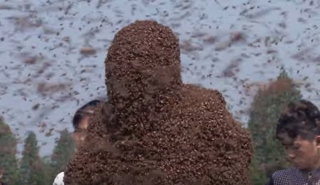Рекорд в Китае: мужчина усадил на себя 637 тыс. пчёл. ВИДЕО