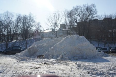 Девочка, которую засыпали снегом в Екатеринбурге, пережила клиническую смерть