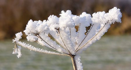 В выходные в Украине ожидается до 10 градусов мороза
