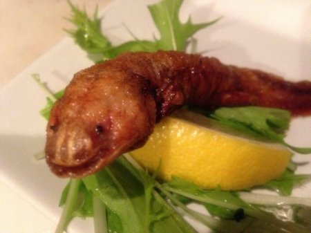 В Японии работает "Ресторан редкого мяса". ФОТО