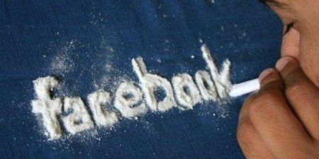 Ученые : Влияние социальной сети Facebook на мозг человека похож на наркотическую зависимость