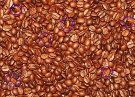 Проверь свою внимательность - тест с кофейными зернами