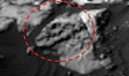 На Марсе снова обнаружили интересную находку. ФОТО