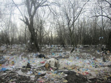 Из бюджета Конотопа "пропали" деньги на строительство полигона для мусора. Город на грани экологической катастрофы. ФОТО