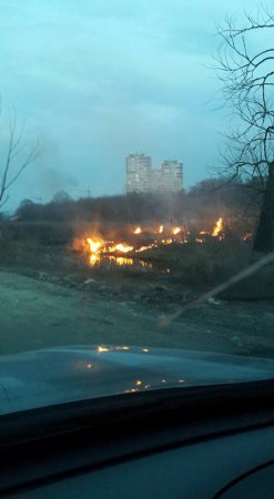 Под Киевом снова начались торфяные пожары