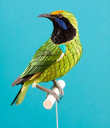 Художница Диана Эррера создает реалистичных птиц из обычной бумаги. ФОТО