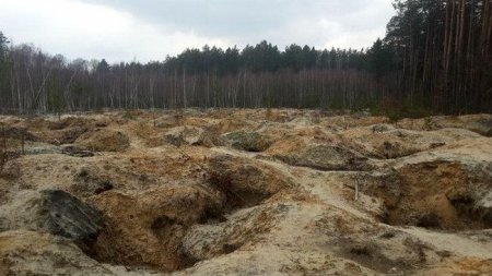 Нелегальная добыча янтаря в Ровенской области приводит к жутким последствиям. ФОТО
