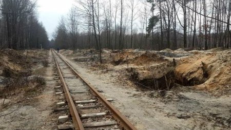 Нелегальная добыча янтаря в Ровенской области приводит к жутким последствиям. ФОТО