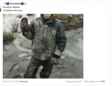 Украинцы своими руками уничтожают природу Полесья. ФОТО