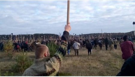 Украинцы своими руками уничтожают природу Полесья. ФОТО