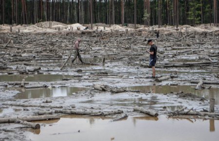 Власти Ровенской области просят Авакова ввести Нацгвардию для борьбы с незаконной добычей янтаря