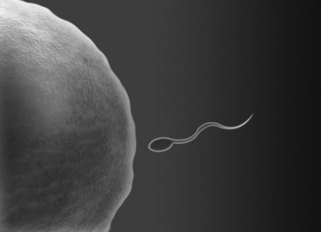 Учёные: скоро появится универсальный для мужчин и женщин контрацептив
