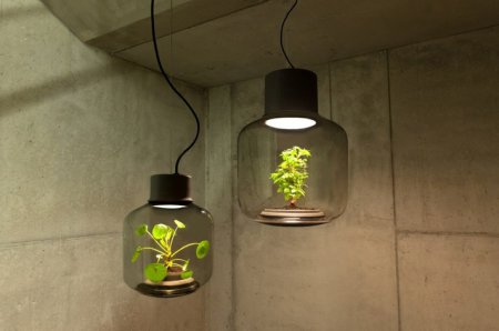 Дизайнеры придумали, как выращивать растения без света и воды