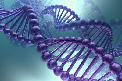 Учёные: выявлен ген, способный спасти от инсульта