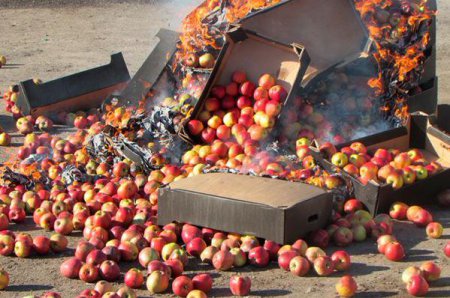 В России уничтожили 22 тонны украинских яблок