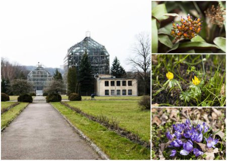 Сегодня во Львове открываются ботанические сады