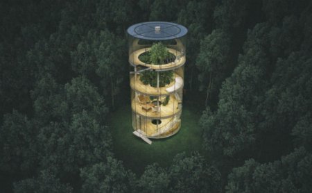 Архитектор из Казахстана спроектировал дом вокруг растущего дерева. ФОТО