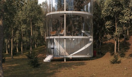 Архитектор из Казахстана спроектировал дом вокруг растущего дерева. ФОТО