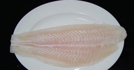 Вся правда о рыбе пангасиус - польза и вред
