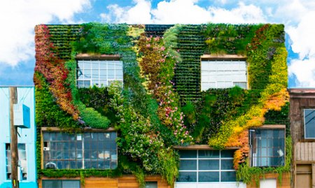 Шедевр экодизайна - "зеленая стена" в Сан-Франциско. ФОТО