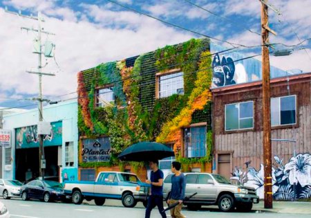Шедевр экодизайна - "зеленая стена" в Сан-Франциско. ФОТО
