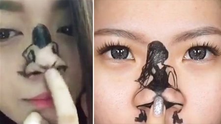 Тверк носом: ролик от поклонницы Рианны взорвал интернет. ВИДЕО