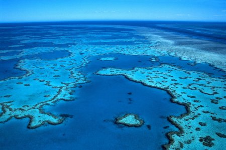 В Австралии погибает Большой Барьерный риф