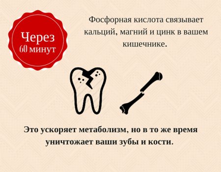 Что бутылка колы делает с организмом за час. Инфографика