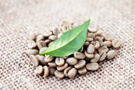 Интересные факты о пользе зелёного кофе