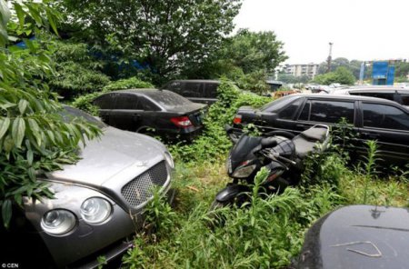 В Китае обнаружена заброшенная стоянка с "никому не нужными" элитными автомобилями. ФОТО