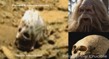 Знаменитый уфолог обнаружил на Марсе загадочный череп Йети. ВИДЕО