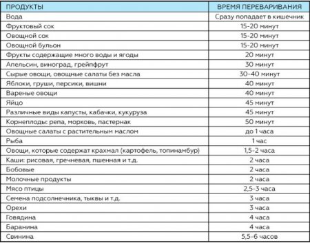 Сколько времени нужно для переваривания пищи или почему Вы не худеете?